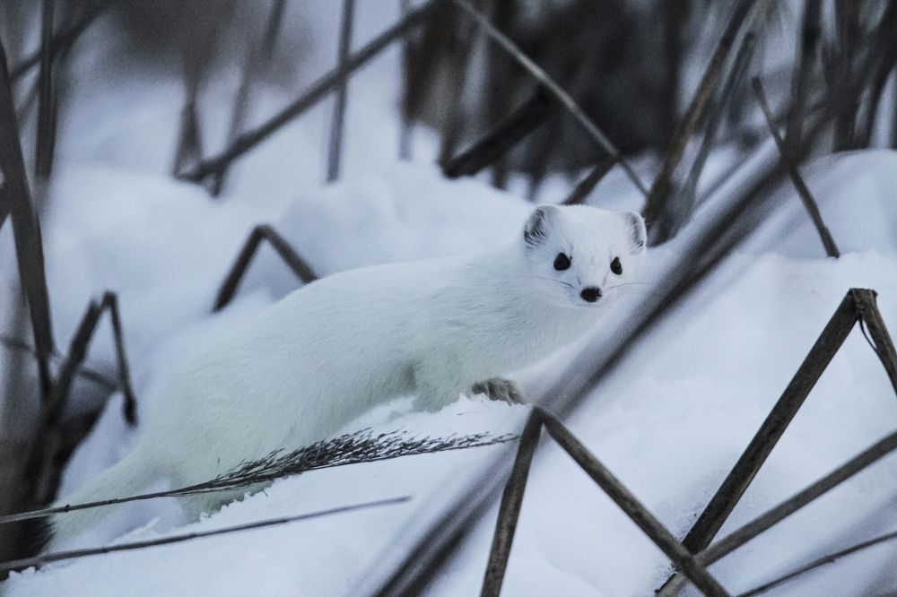 Photograph by Елизавета Цемко