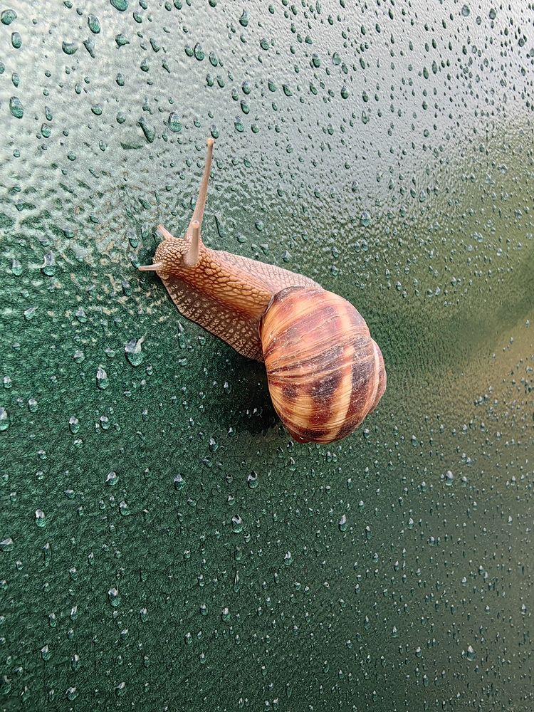 Фотография автора Юлия Лубкина