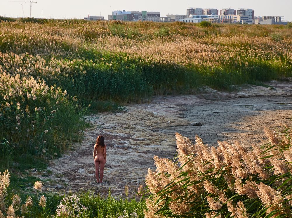 the deceased lake Taldykol