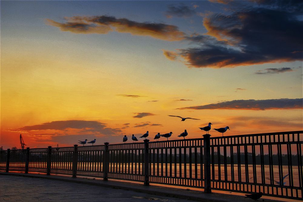 Photograph by Екатерина Готовская