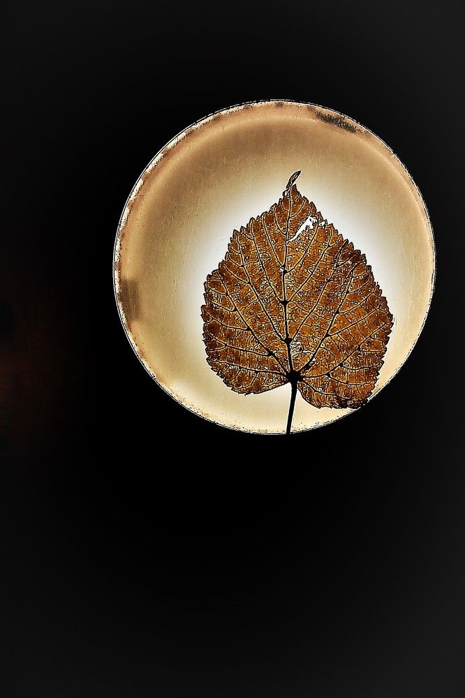 Photograph by Jelena