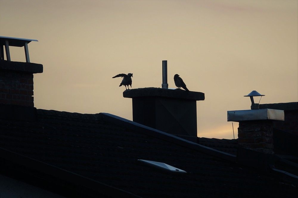 Photograph by Jelena