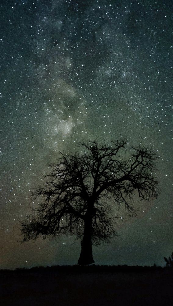 Photograph by Наталья Исиченко