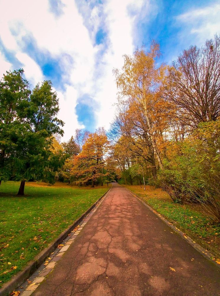 Photograph by Елена Шерман