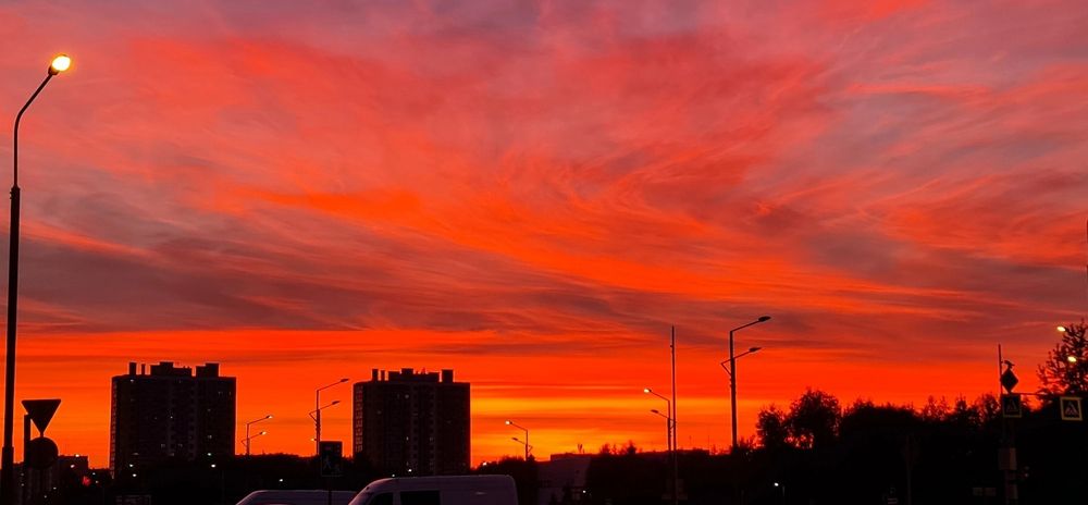 Photograph by Natasha Kim