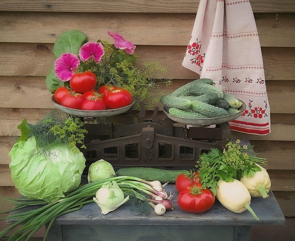 Photograph by Соколова Елена