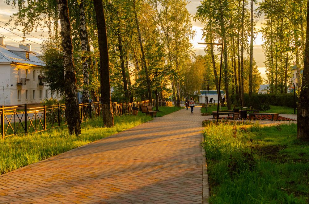 Photograph by Артём Шестаков