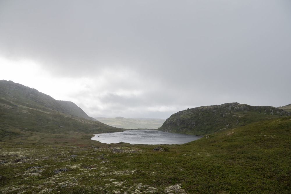 Photograph by Светлана Соболева