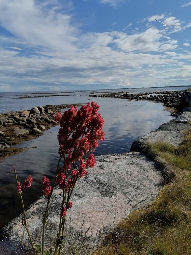 Photograph by Елена Степанкина