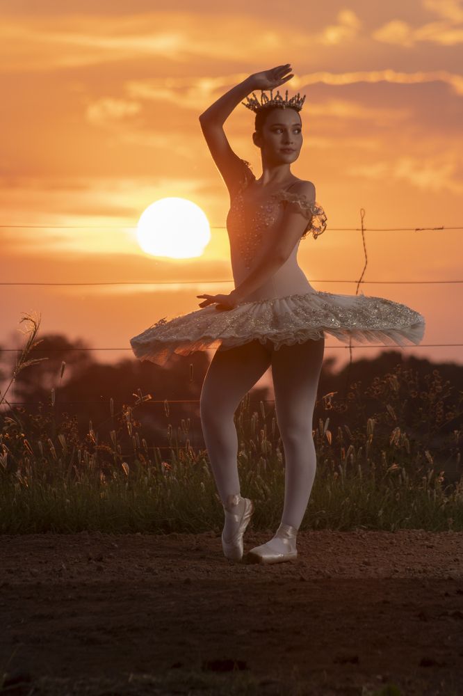 Photograph by SERGIO NORBERTO JUNIOR