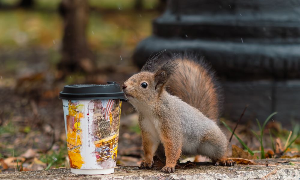 Photograph by Алексей Миронов