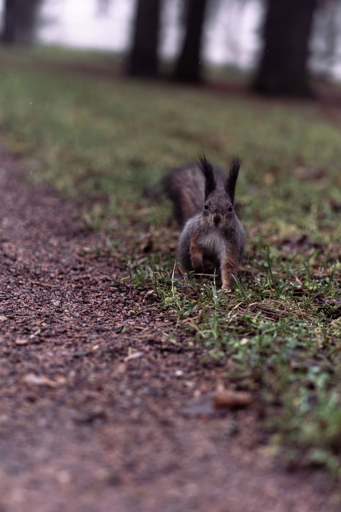Photograph by Алексей Миронов