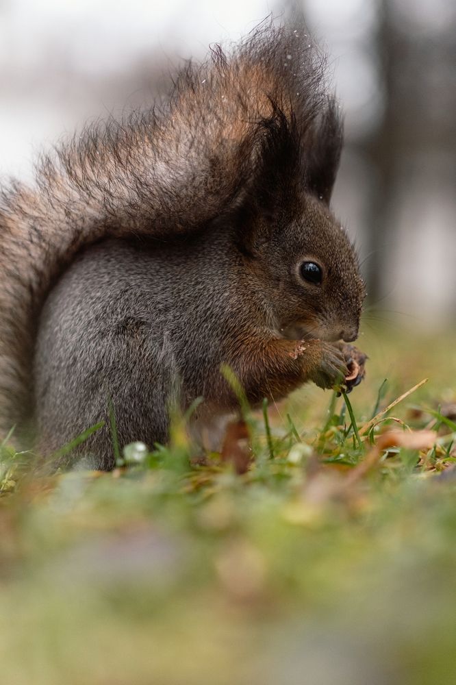 Photograph by Алексей Миронов