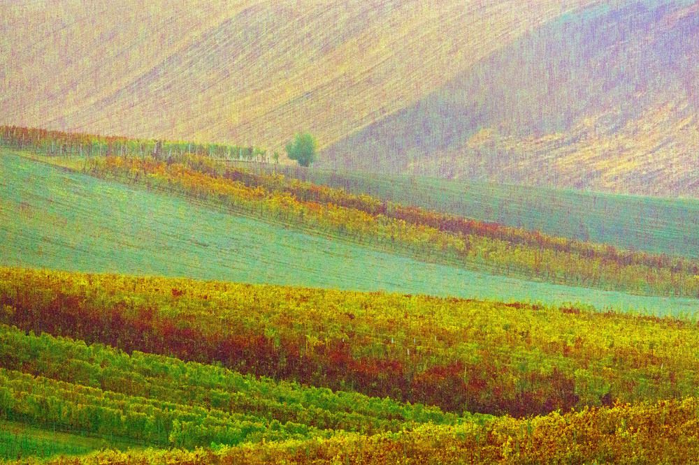 Photograph by Jasmin Suljanovic