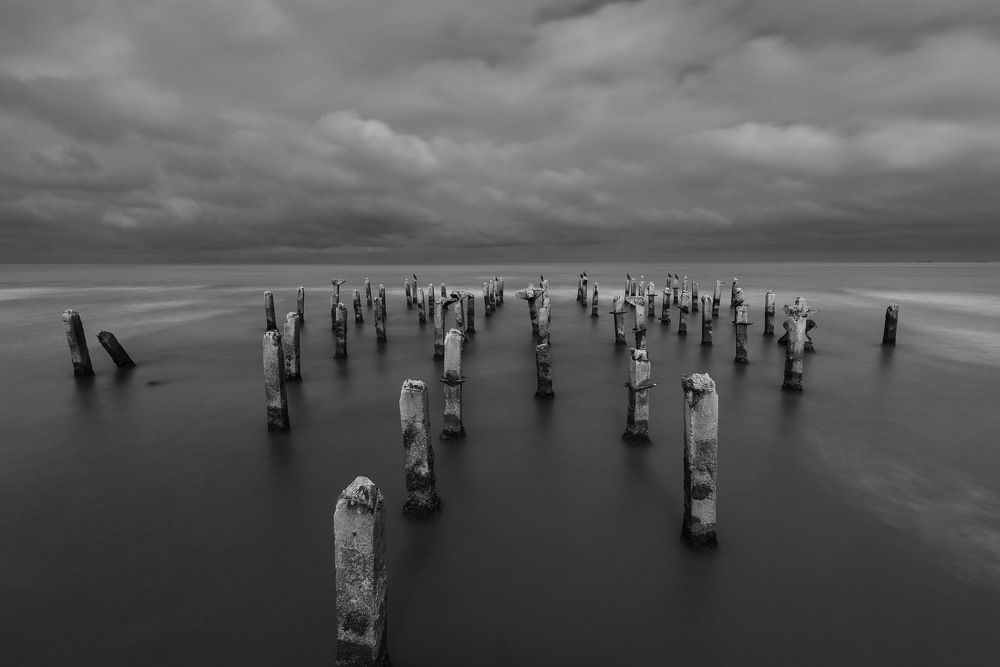 Photograph by Mamdouhi Saeed