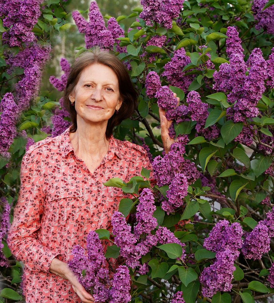 Краса - сирень