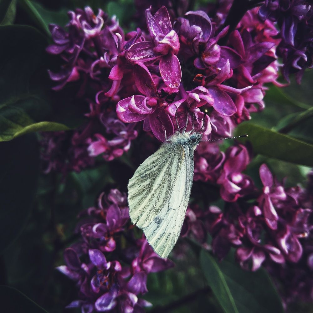 Photograph by Анна Любимова