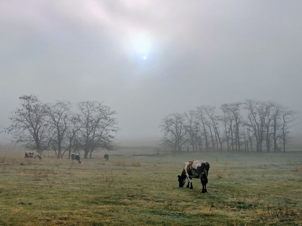 Photograph by Владимир Каюков