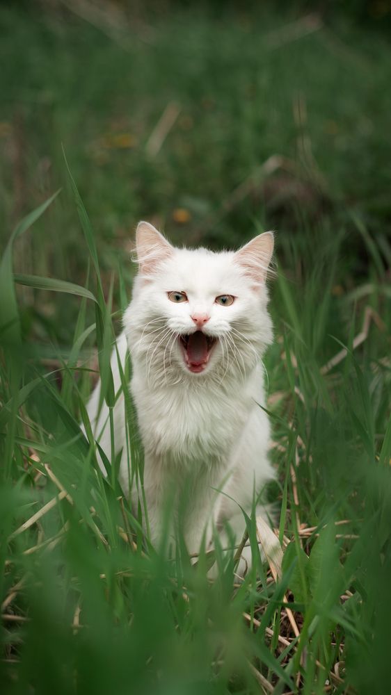 Photograph by Владислав Барышников