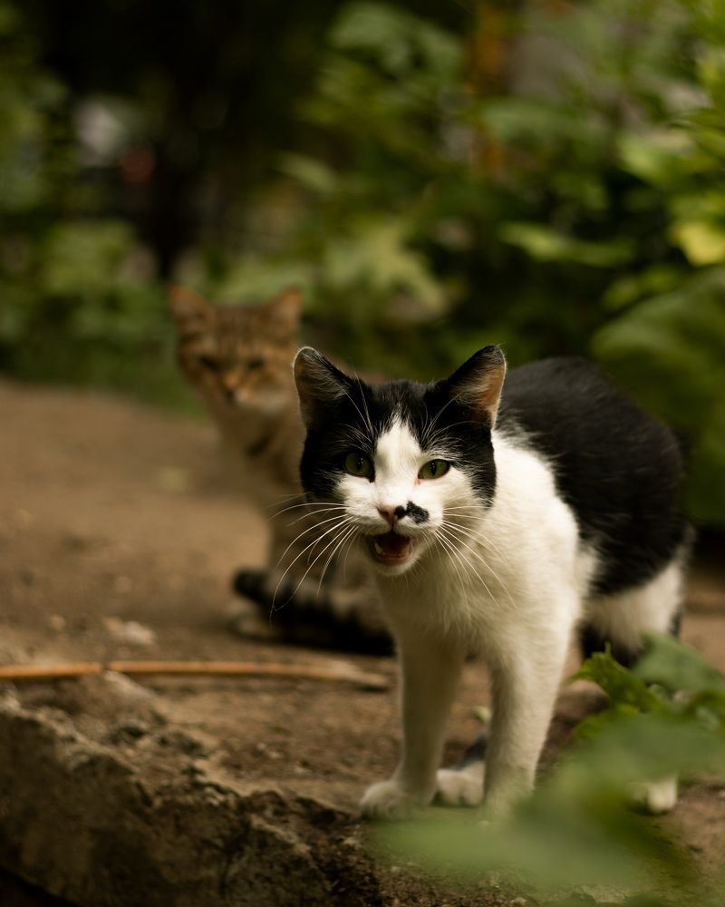 Photograph by Владислав Барышников