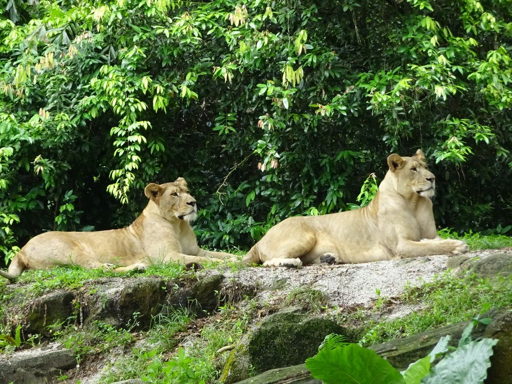 Photograph by Мила Милая