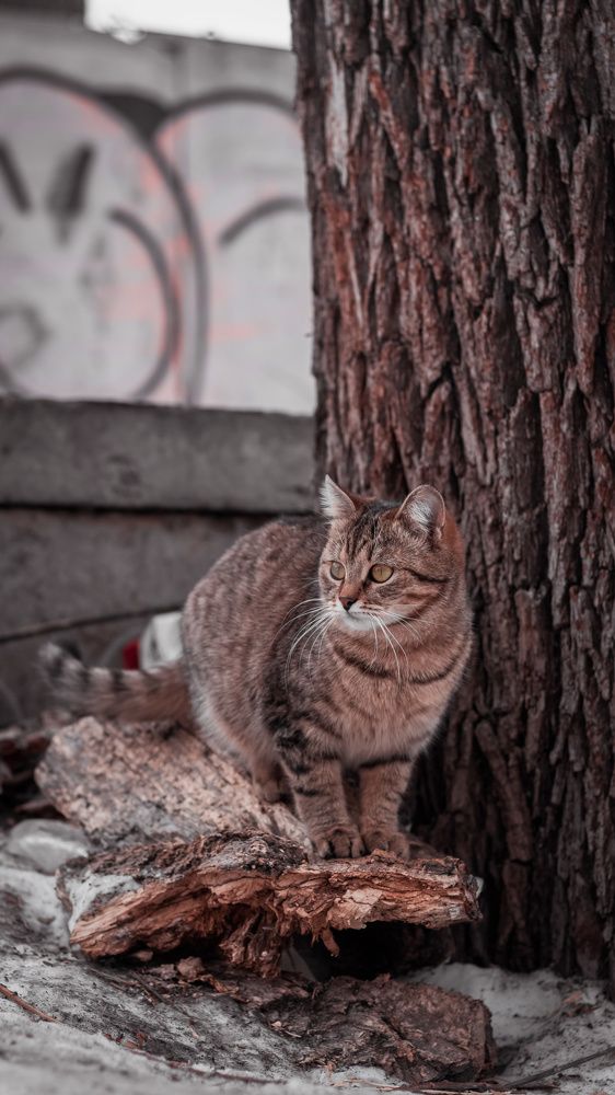Photograph by Владислав Барышников
