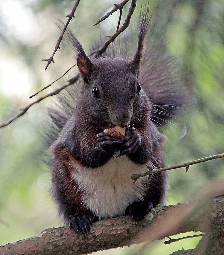 Фотография автора Александр