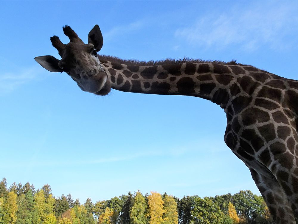 Photograph by Мила Милая