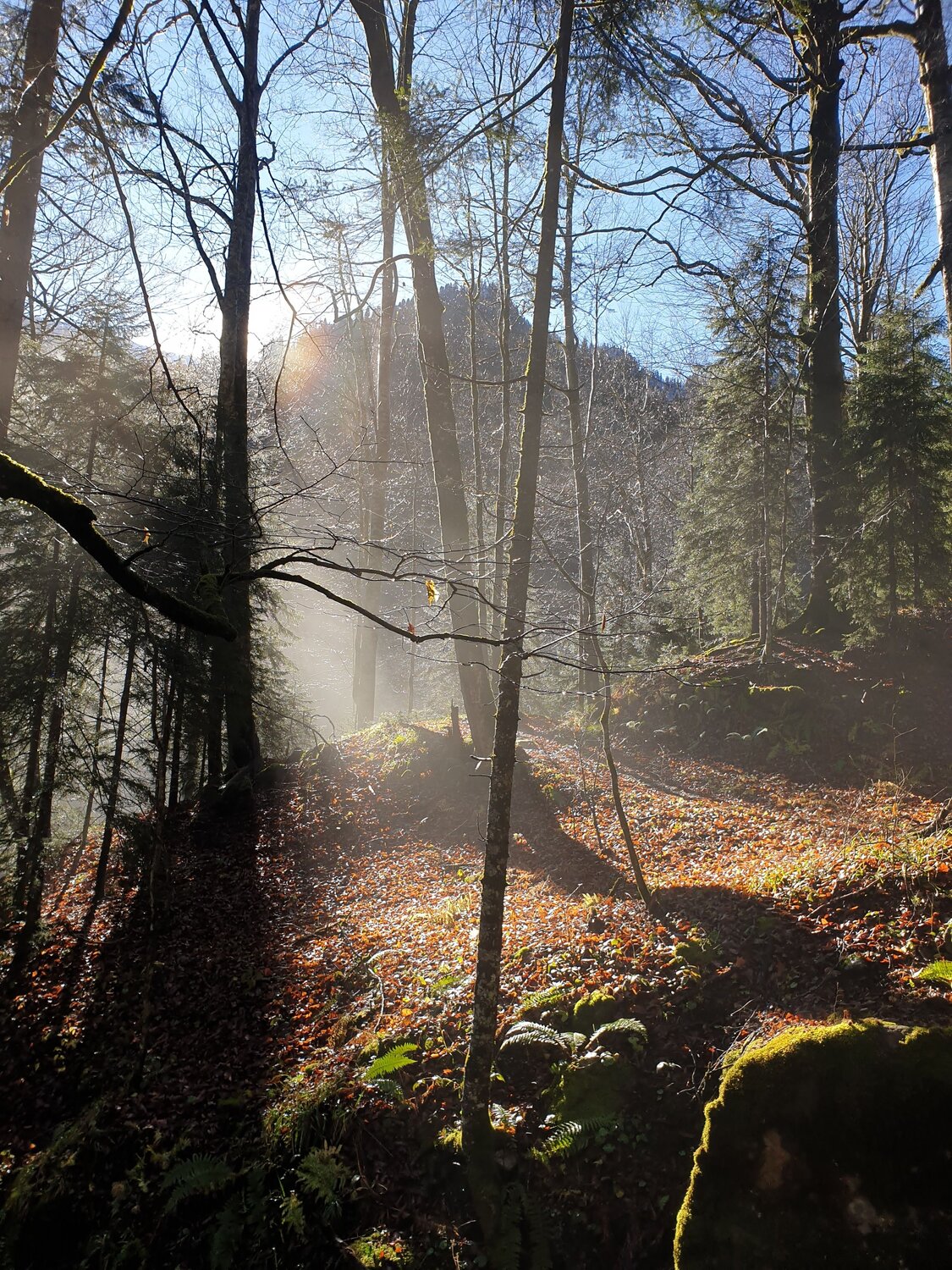 Фотография #9865567