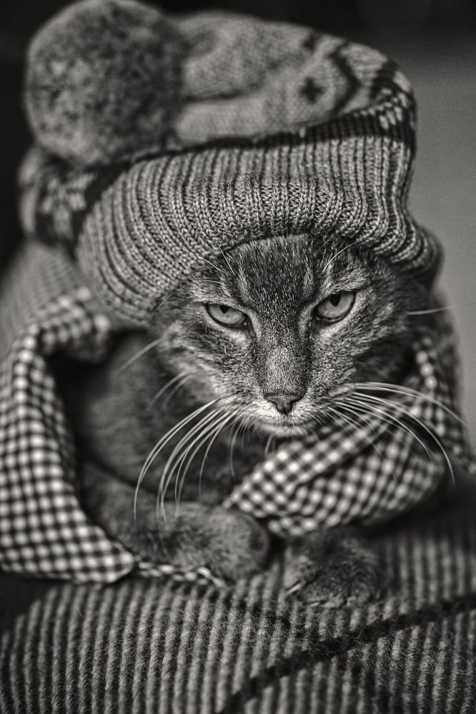 Photograph by Ольга Кудина