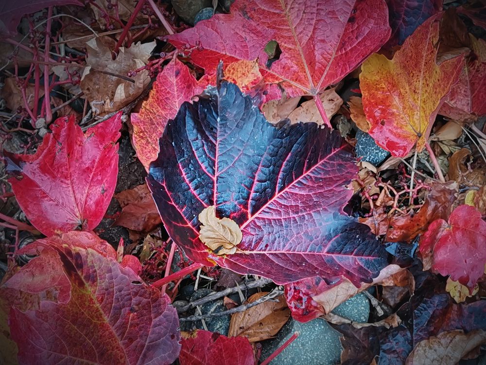 Photograph by Владимир Каюков