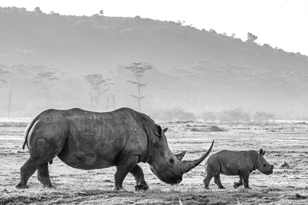 Photograph by Emil Enchev