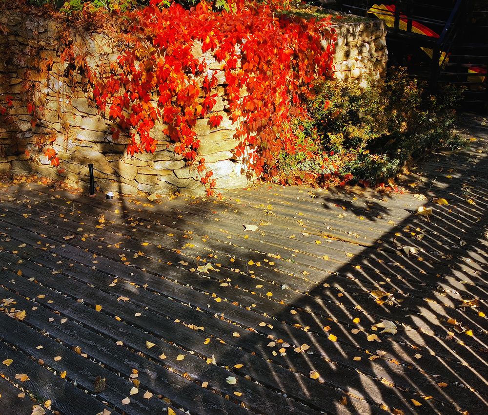 Photograph by Владимир Каюков