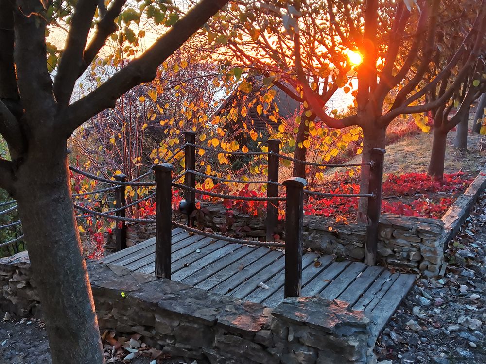 Photograph by Владимир Каюков