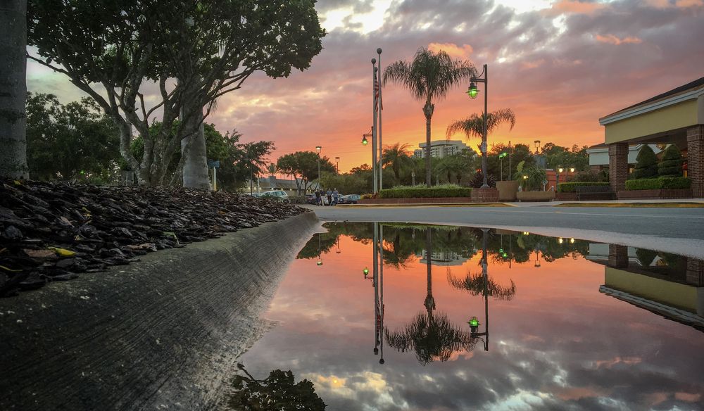 Photograph by Juan Pedro Verdier