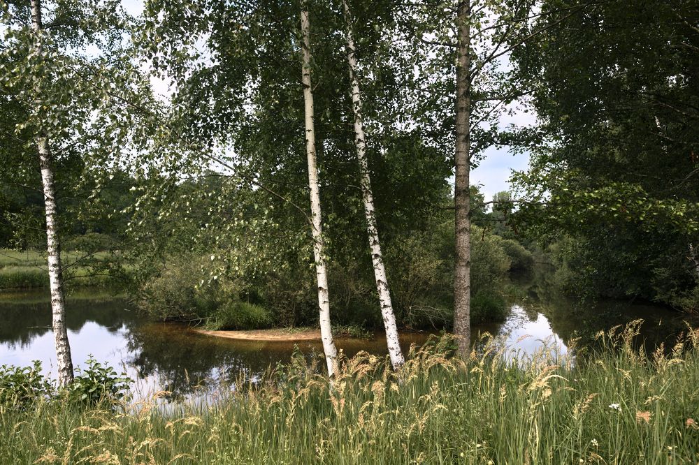 р.Песочная д.Большие Желтоухи