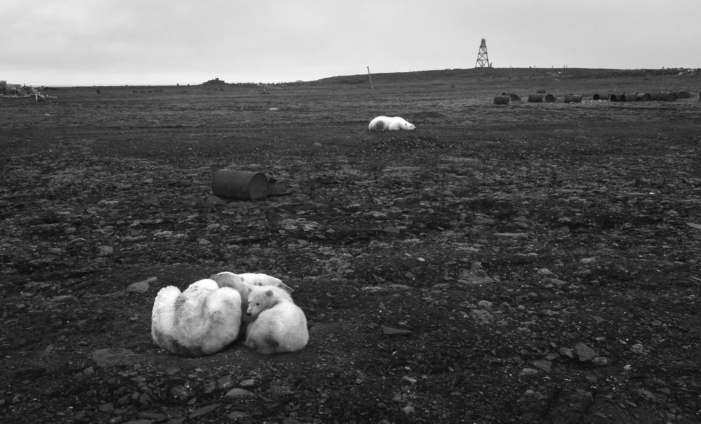 Photograph by Александр Фанталов