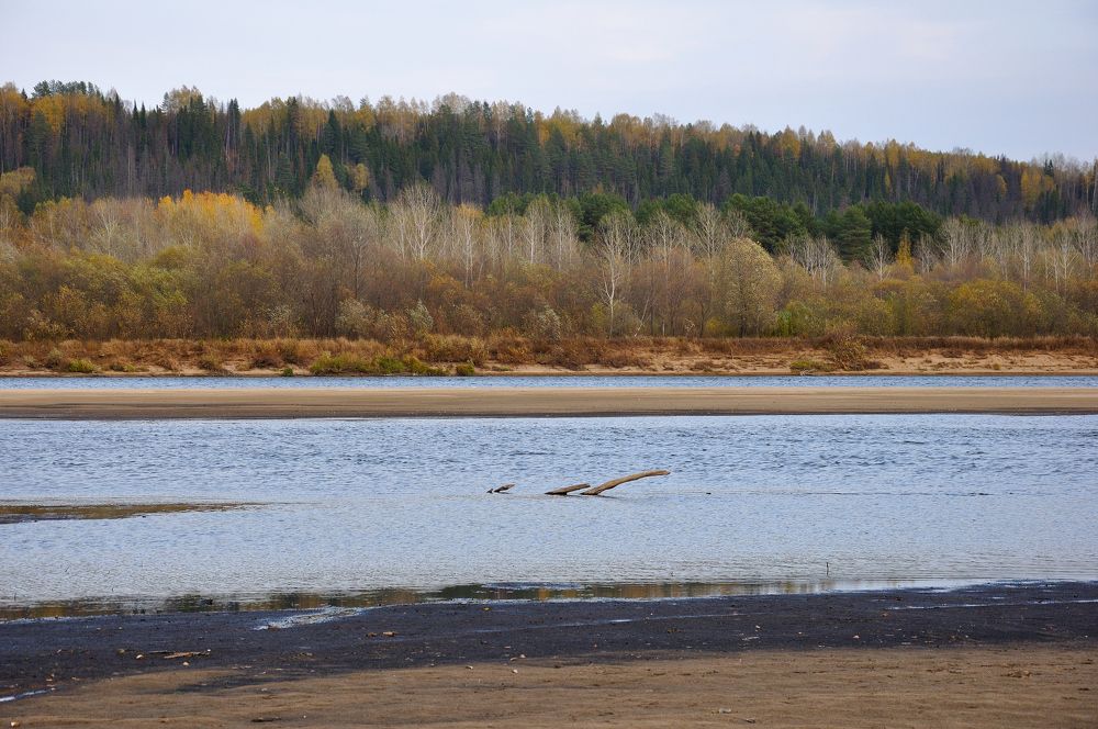 Photograph by Андрей Пляскин