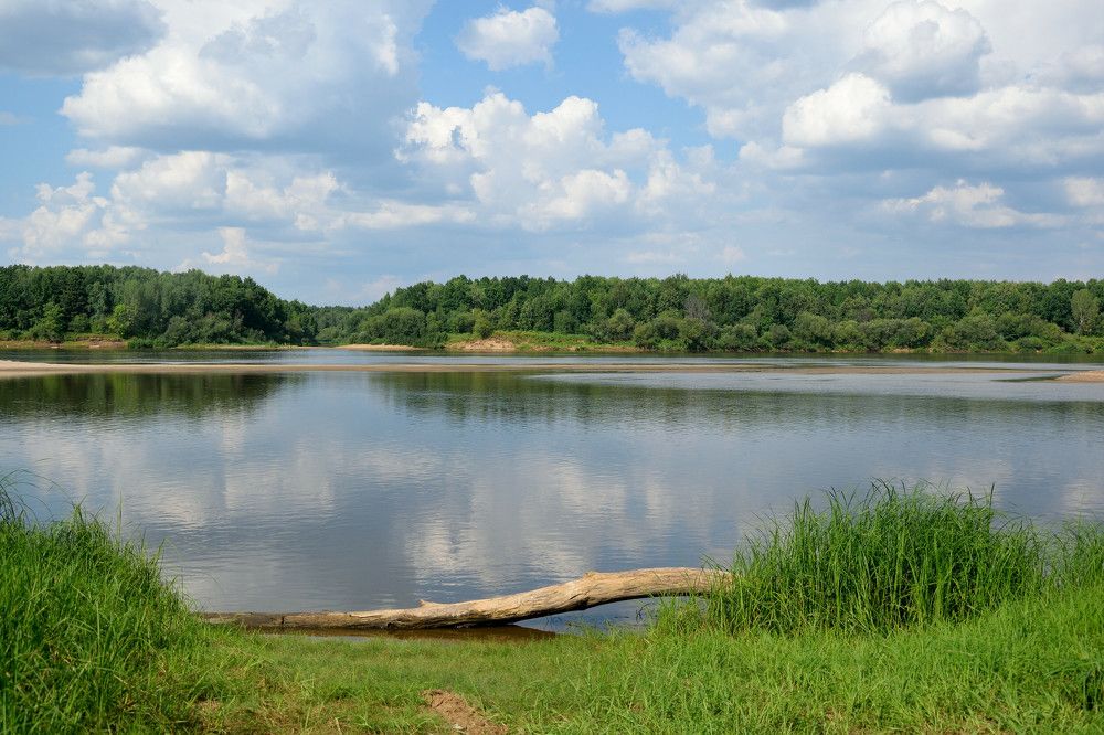 Photograph by Андрей Пляскин