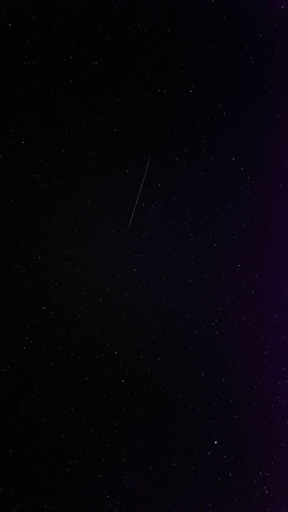 Photo #9865986