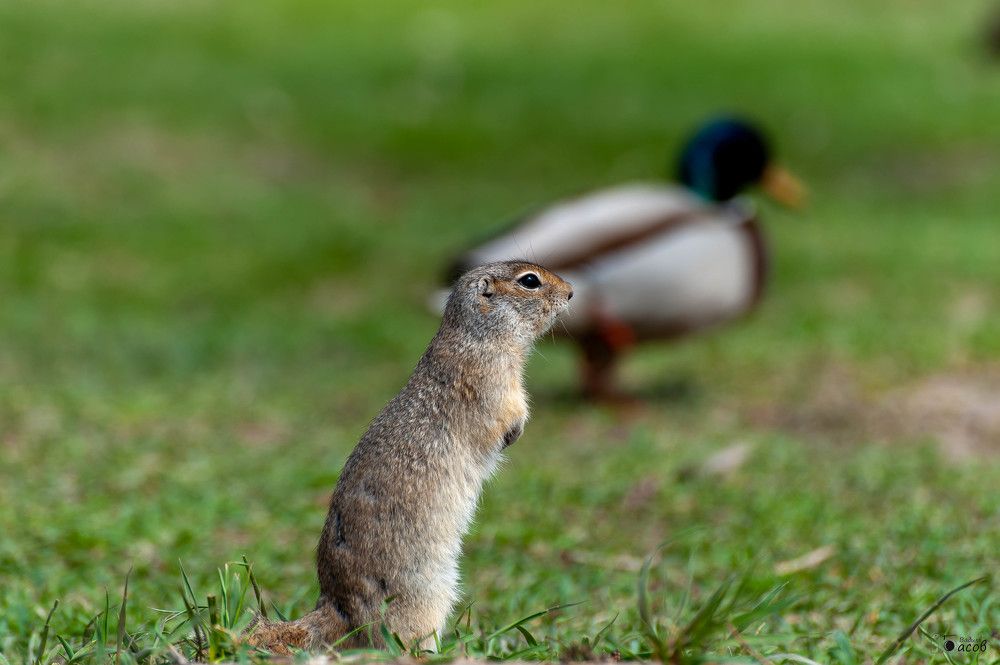 Photograph by Вадим Басов