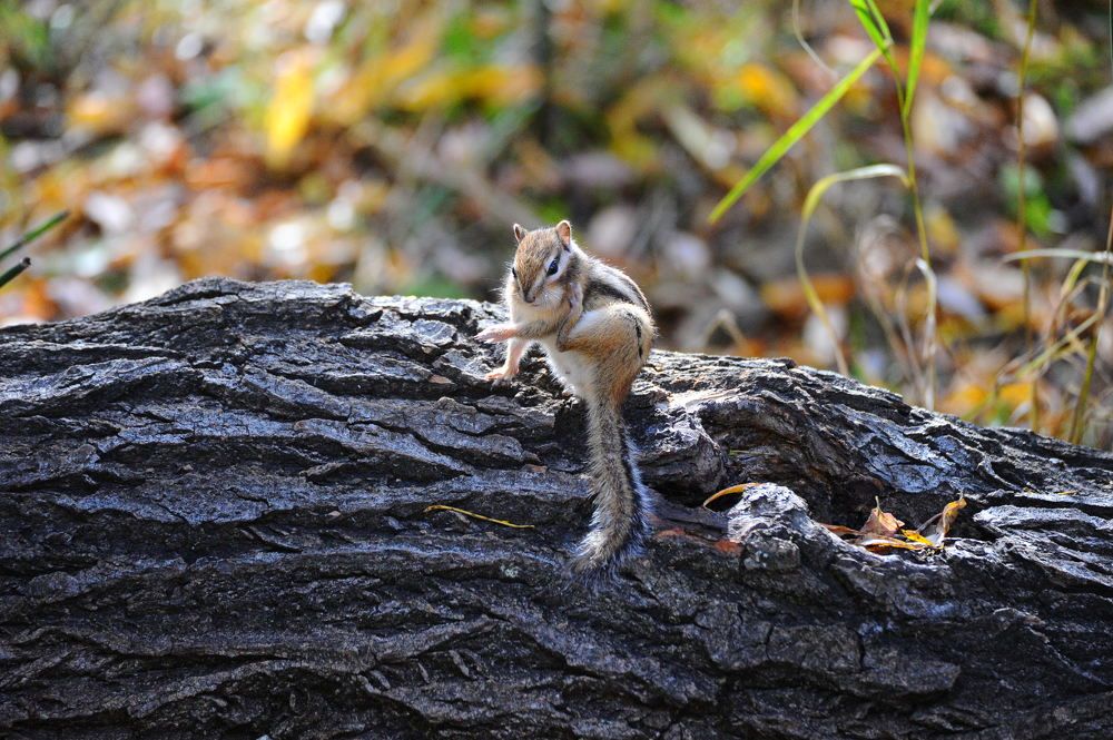 Photograph by Вадим Басов