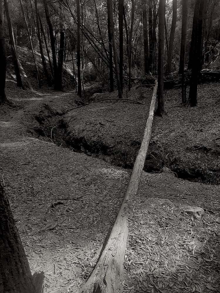 Photograph by Alexandre Lino