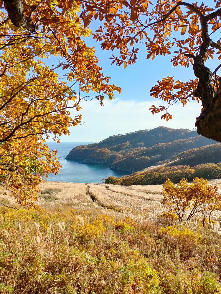 Photograph by Александр Коваль