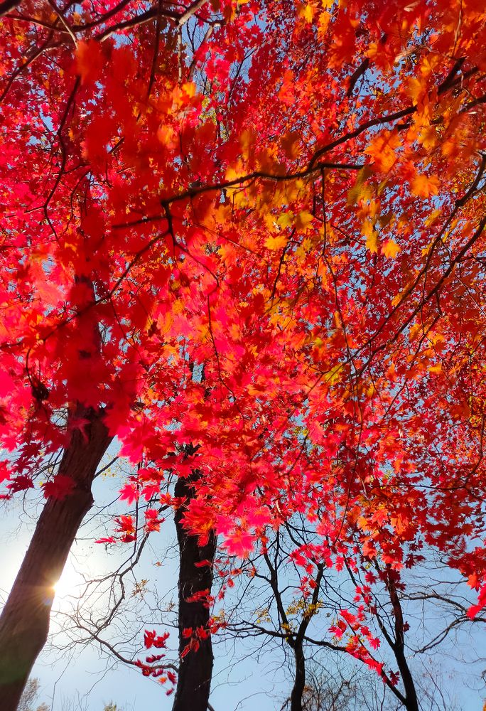 Photograph by Александр Коваль