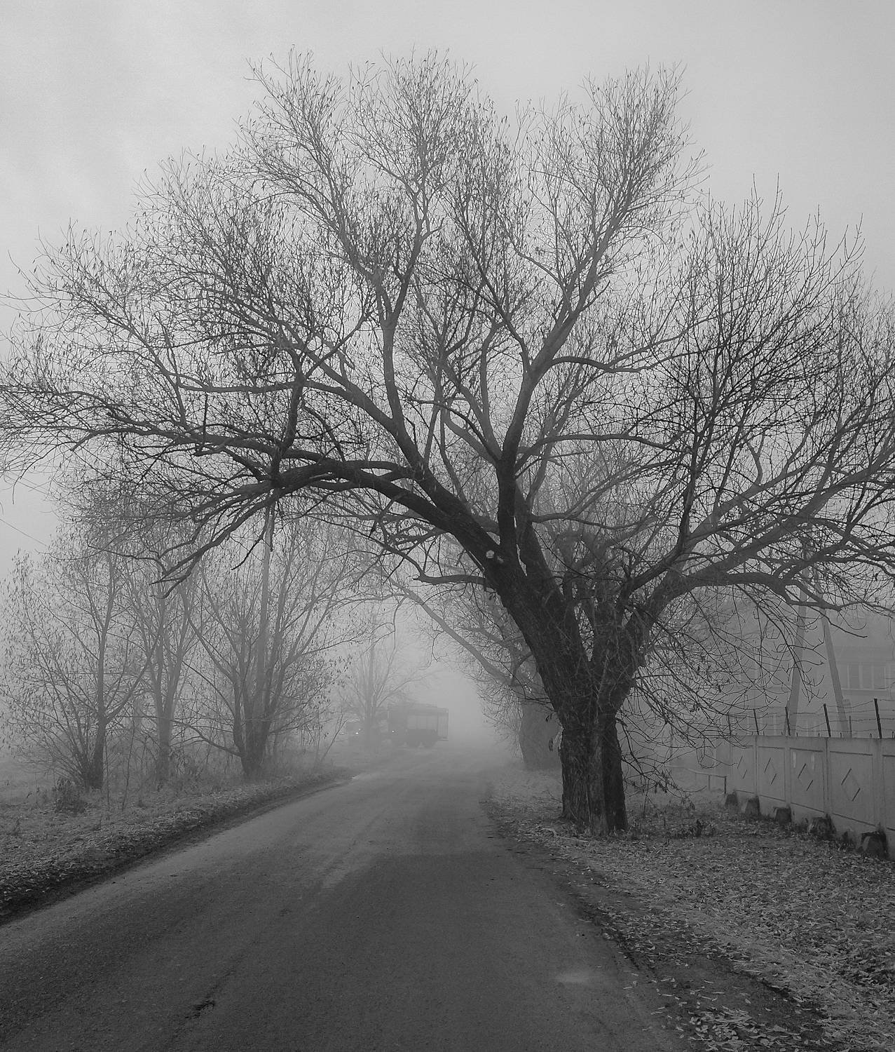 Photo #9866181