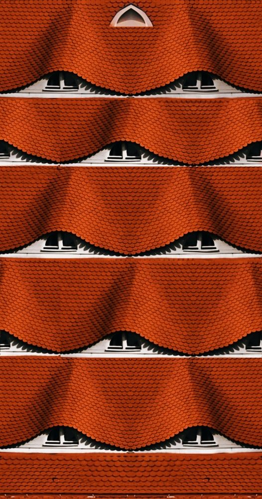 Photograph by Pati John