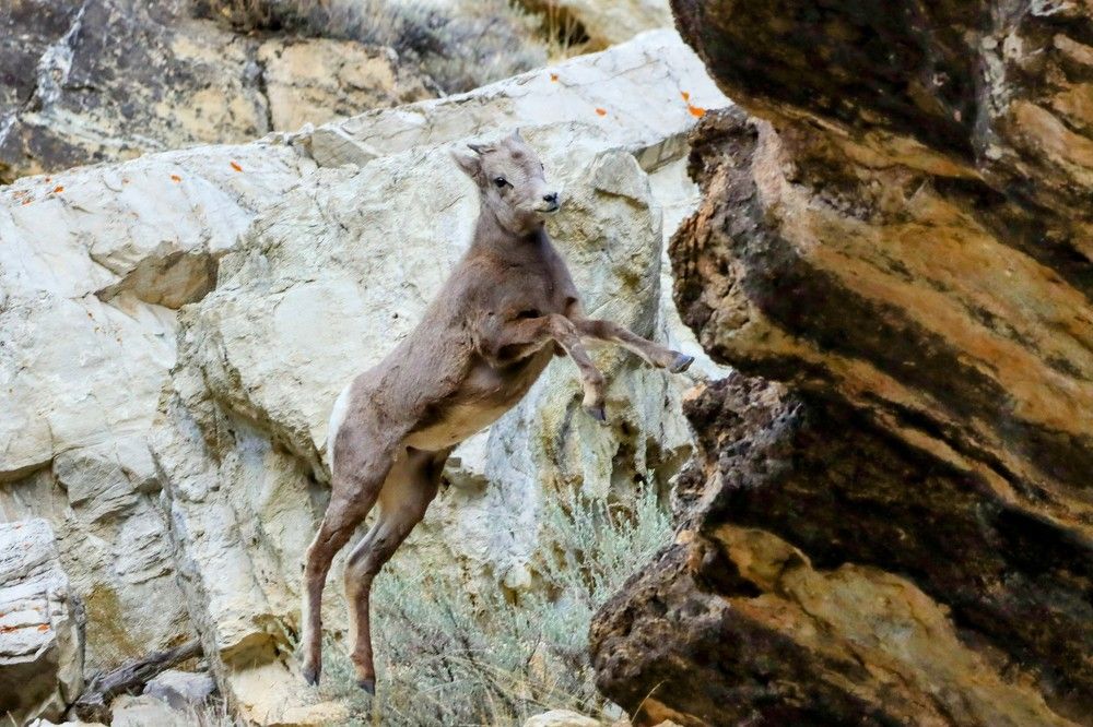 Photograph by Kristy Behnke