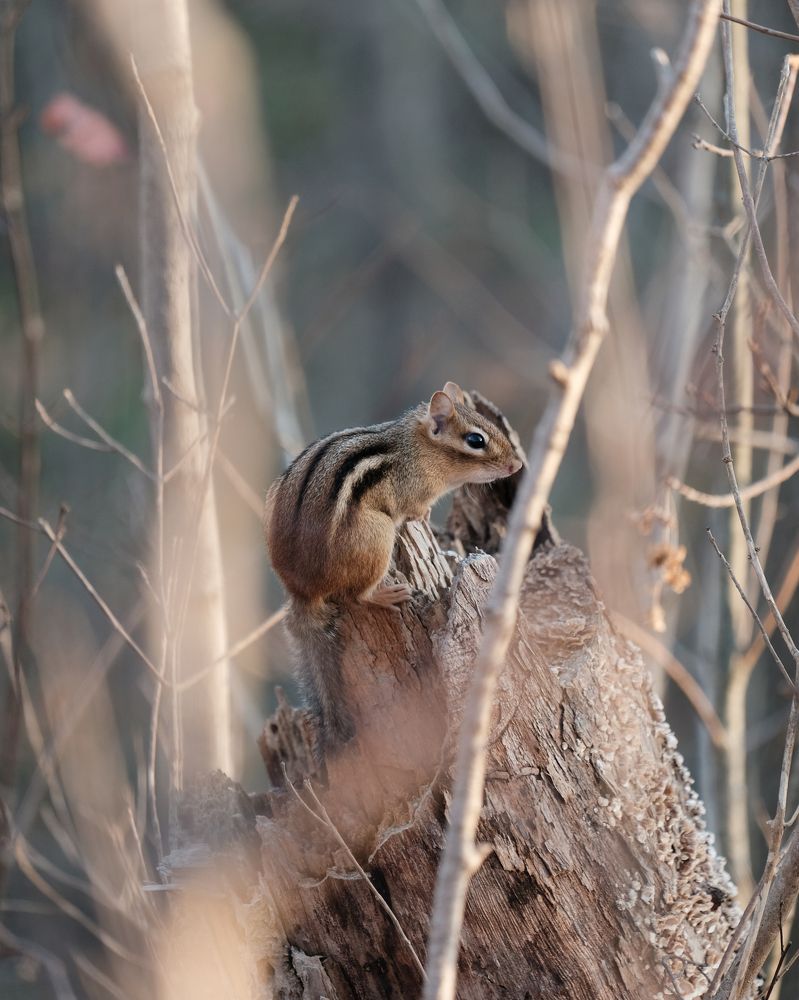 Photograph by Greg Noakes