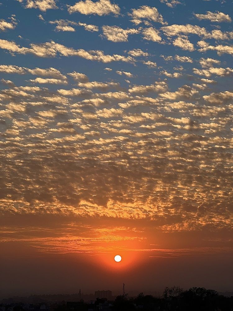 Photograph by Sharma Dr Megha